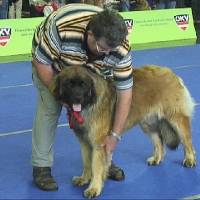 Salzburg Clubschau Mai 06 194 